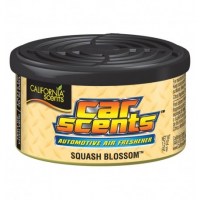 California viragok-squash-blossom9